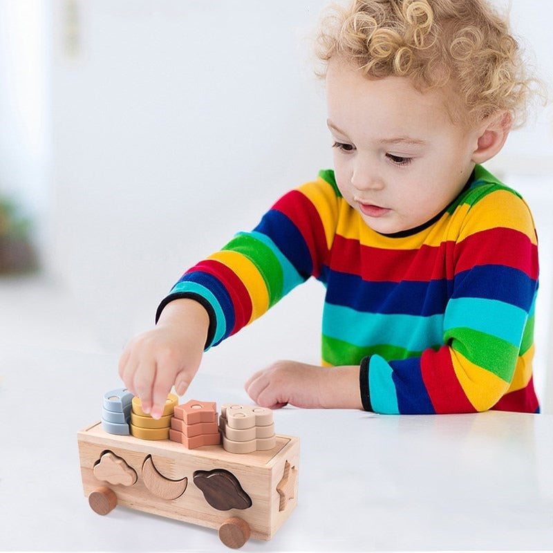 Wooden Montessori Matching Blocks-Seazide Shop