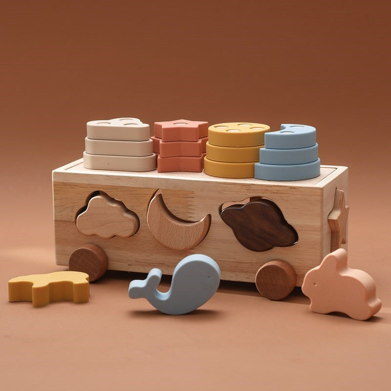 Wooden Montessori Matching Blocks